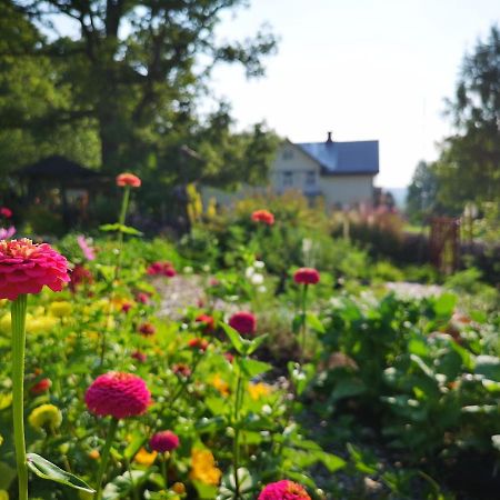 Disponentparken Cafe Och Bed & Breakfast Grängesberg Εξωτερικό φωτογραφία