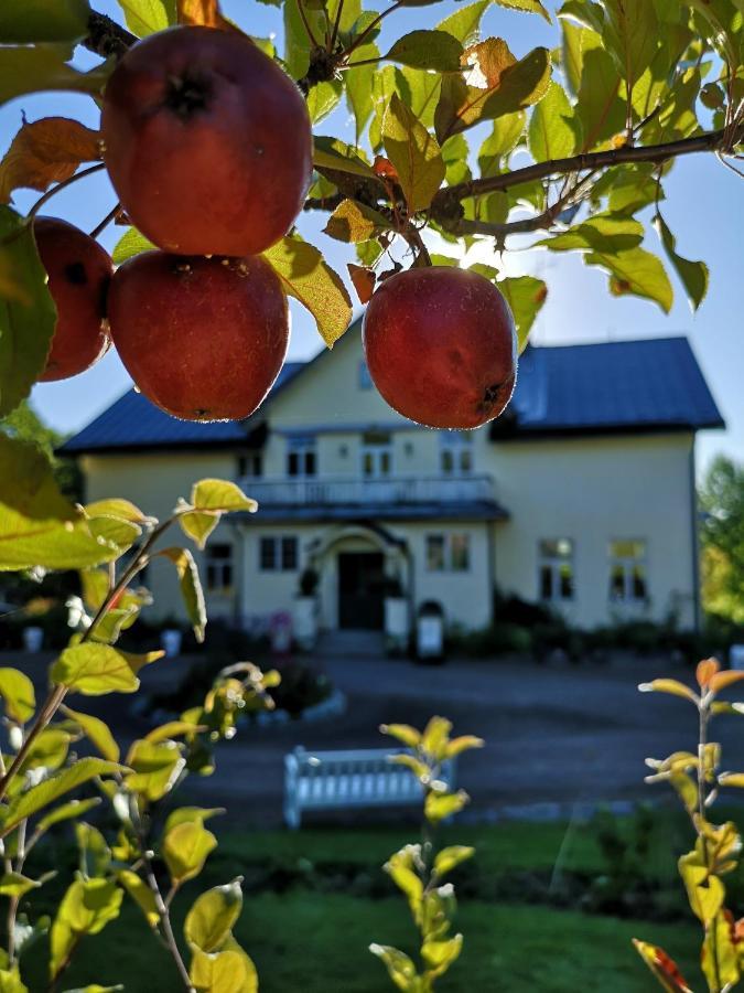 Disponentparken Cafe Och Bed & Breakfast Grängesberg Εξωτερικό φωτογραφία