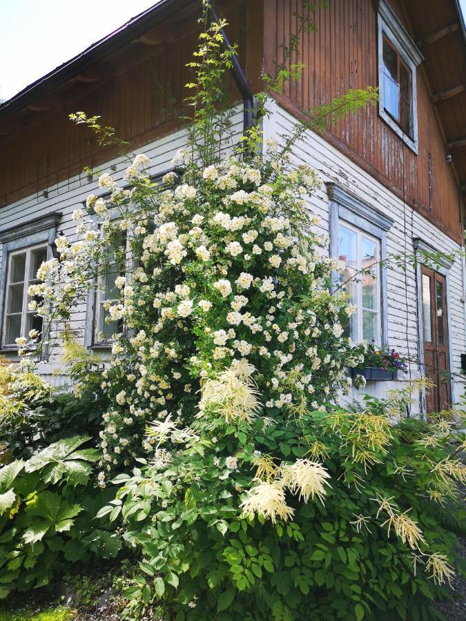 Disponentparken Cafe Och Bed & Breakfast Grängesberg Εξωτερικό φωτογραφία