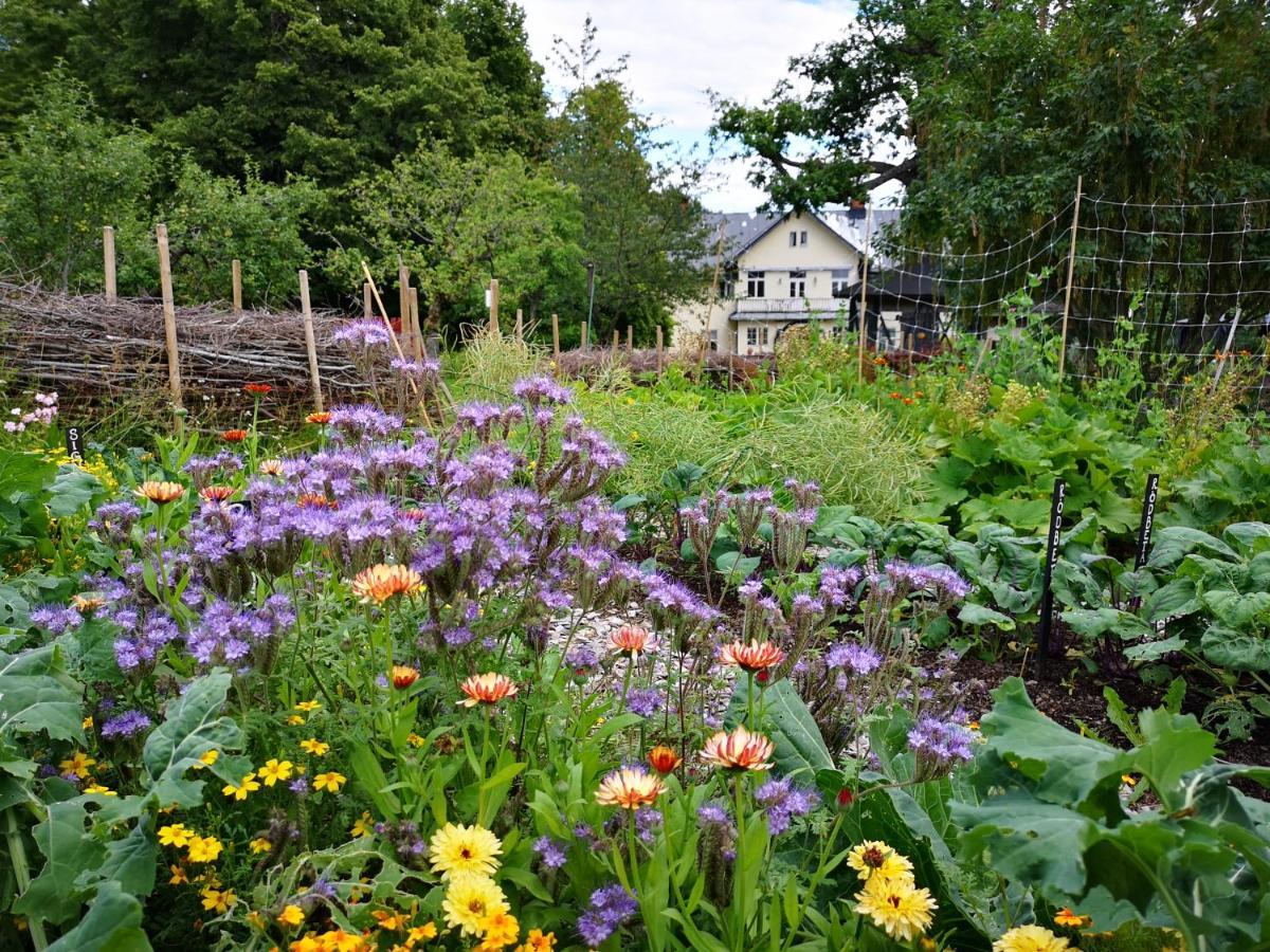 Disponentparken Cafe Och Bed & Breakfast Grängesberg Εξωτερικό φωτογραφία